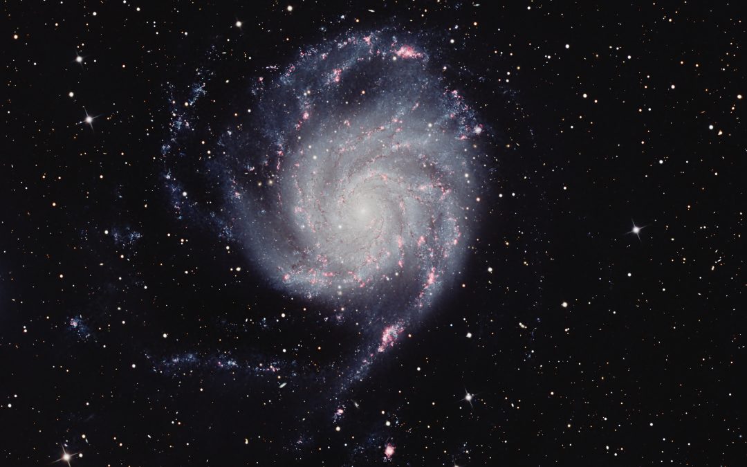M101